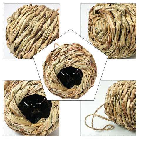 Puninoto versatile bird house decor suits garden, windows, or indoor plant displays.