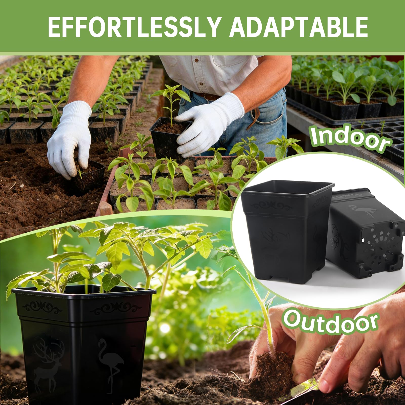 Puobao square pots arranged on shelves help organize indoor gardening.
