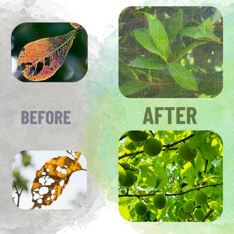Puobao versatile garden netting protects vegetables, berries, and vines from pests
