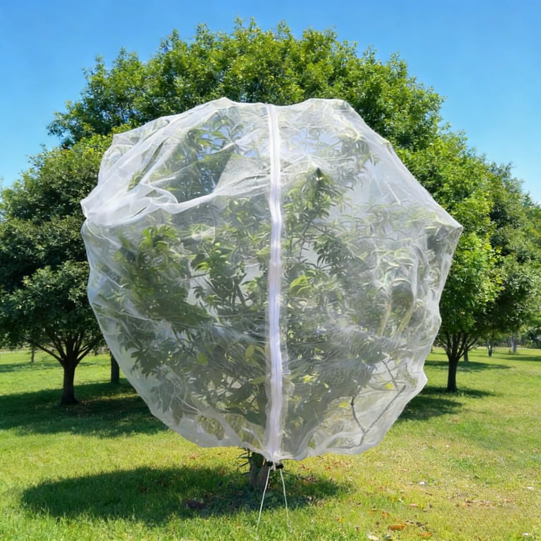 Puobao 13x13ft tree netting provides complete coverage for a single mature fruit tree.