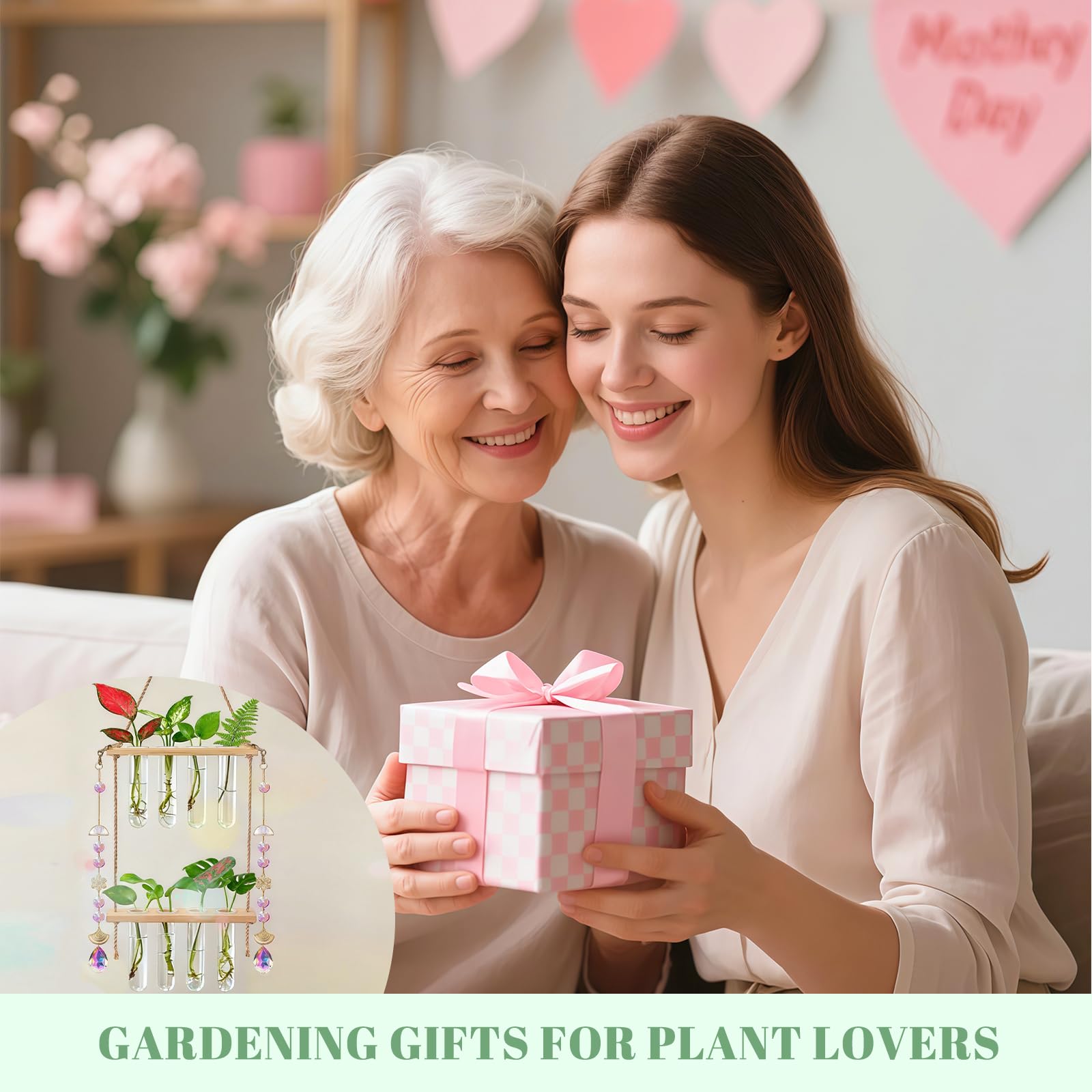 Puoqu gift-ready plant display perfect for family and friends