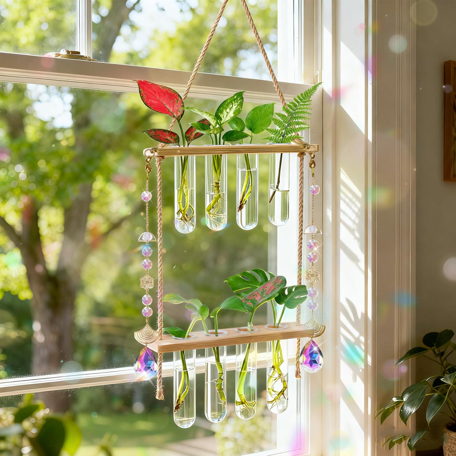 Puoqu hanging propagation station with glass tubes for easy propagation