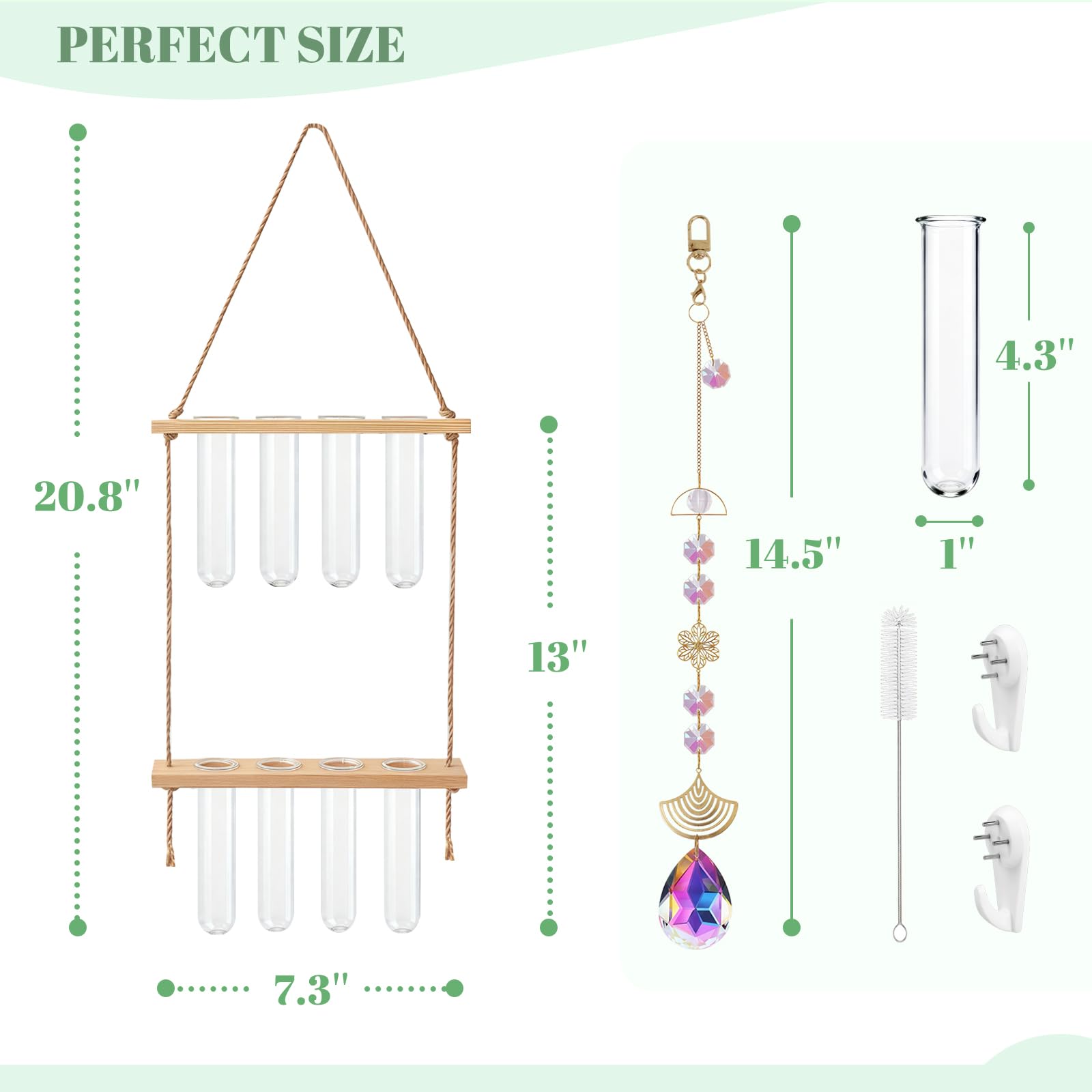 Puoqu wall-mounted propagator neatly displays plants and glass tubes
