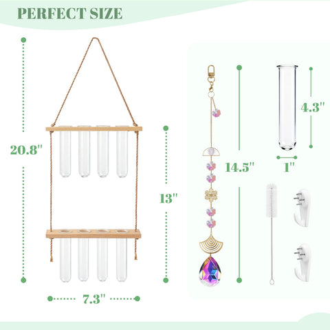 Puoqu wall-mounted propagator neatly displays plants and glass tubes