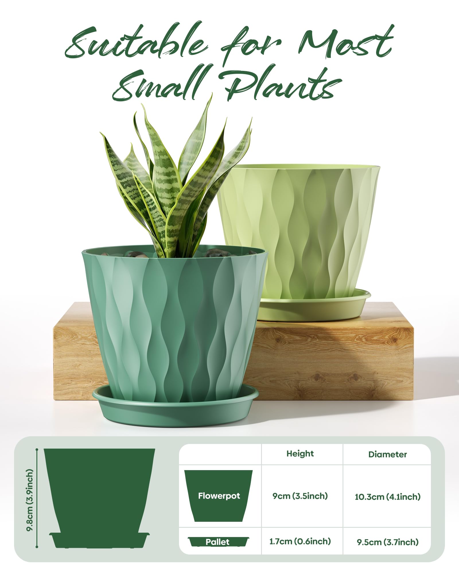 Pure Whimsy six-pack of colorful pots ideal for herbs and succulents