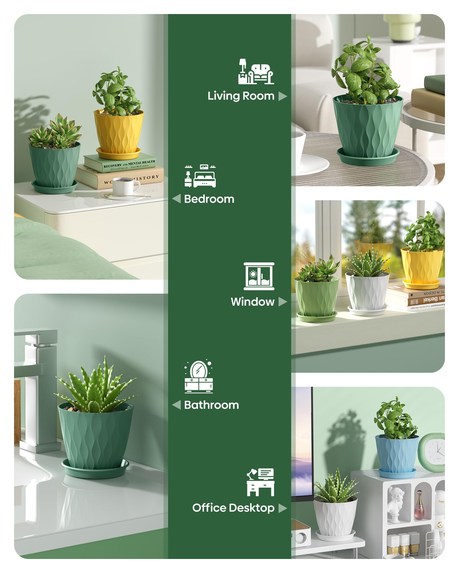 Pure Whimsy colorful collection six colors for indoor gardens