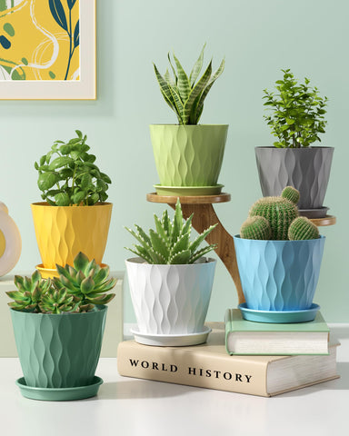 Pure Whimsy gift ready plant pot pack for gifting