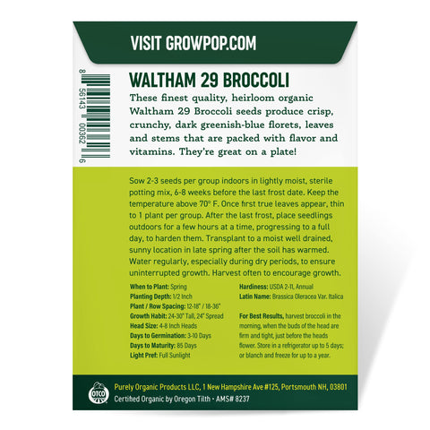 Purely Organic broccoli seeds Waltham 29 back label provides planting tips for beginners