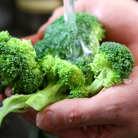 Purely Organic broccoli seeds Waltham 29 harvest stage previews crisp florets potential