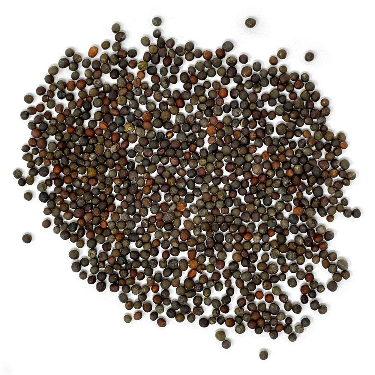 Purely Organic broccoli seeds Waltham 29 open-pollinated label signals stable garden performance