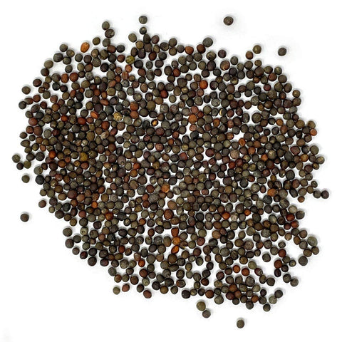 Purely Organic broccoli seeds Waltham 29 open-pollinated label signals stable garden performance