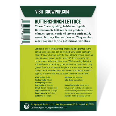 Purely Organic Buttercrunch lettuce seedling growth—early greens for garden success.