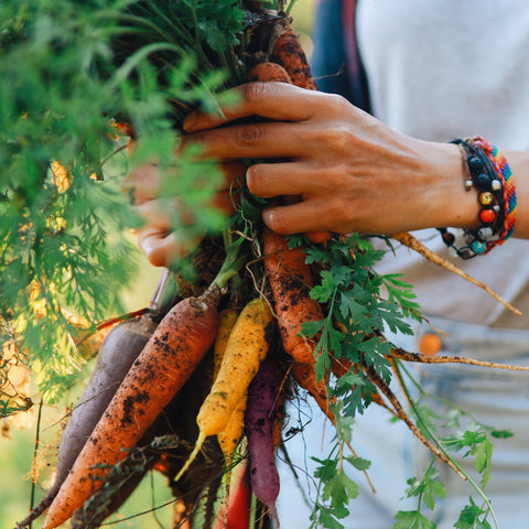 Purely Organic Rainbow Carrot Seeds garden-row image emphasizes even spacing for healthy growth.