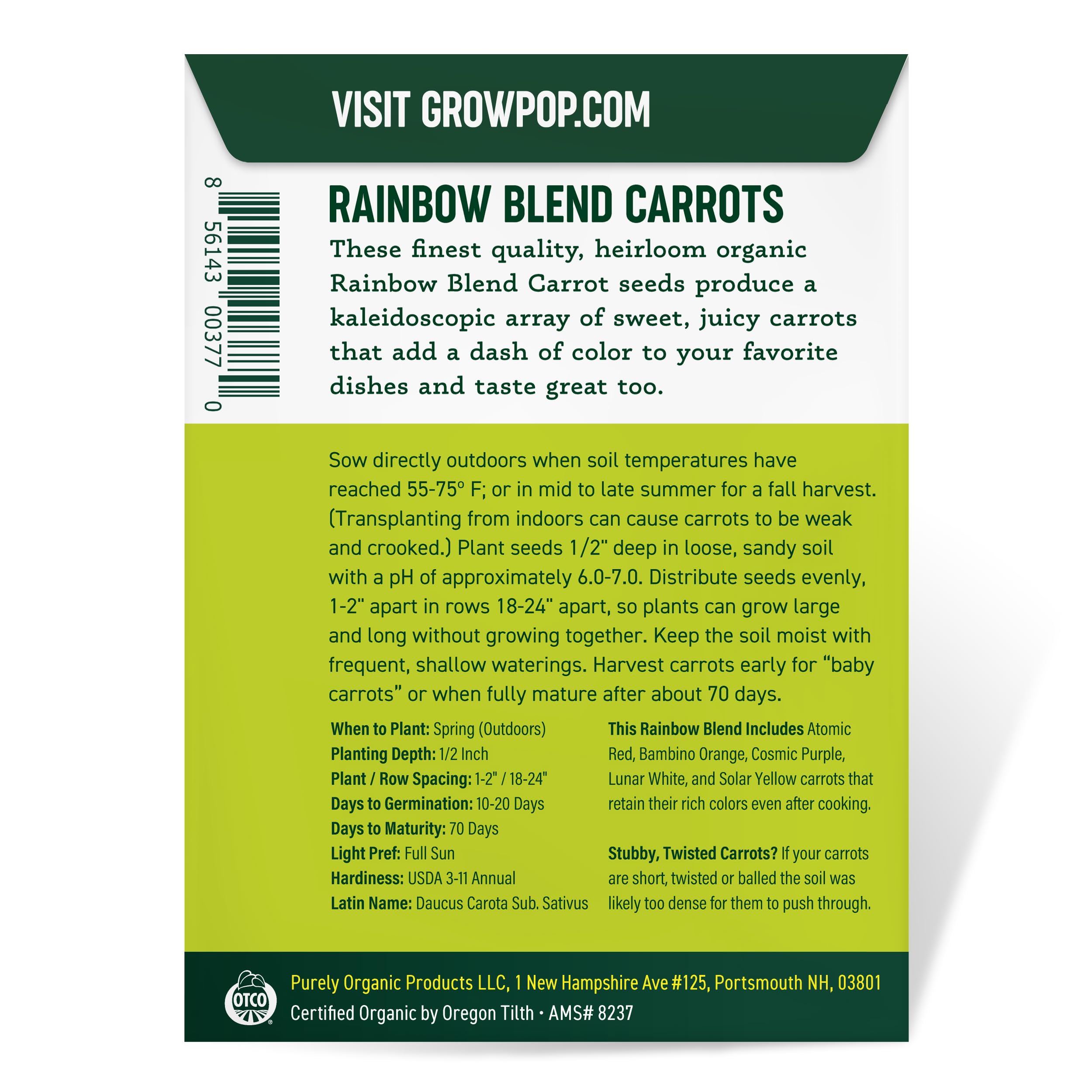 Purely Organic Rainbow Carrot Seeds soil-mix scene shows loose sandy soil for good germination.