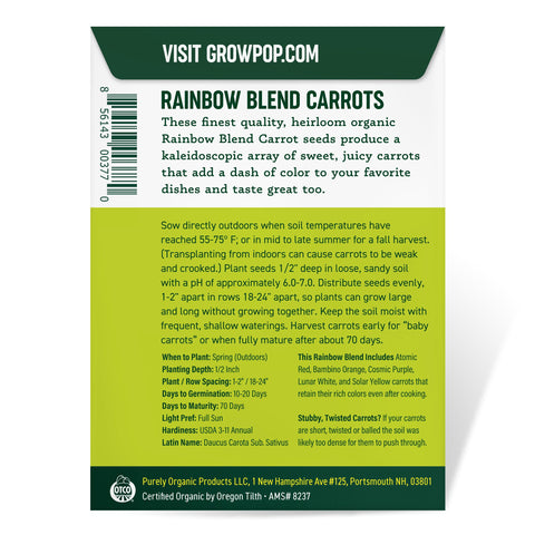 Purely Organic Rainbow Carrot Seeds soil-mix scene shows loose sandy soil for good germination.