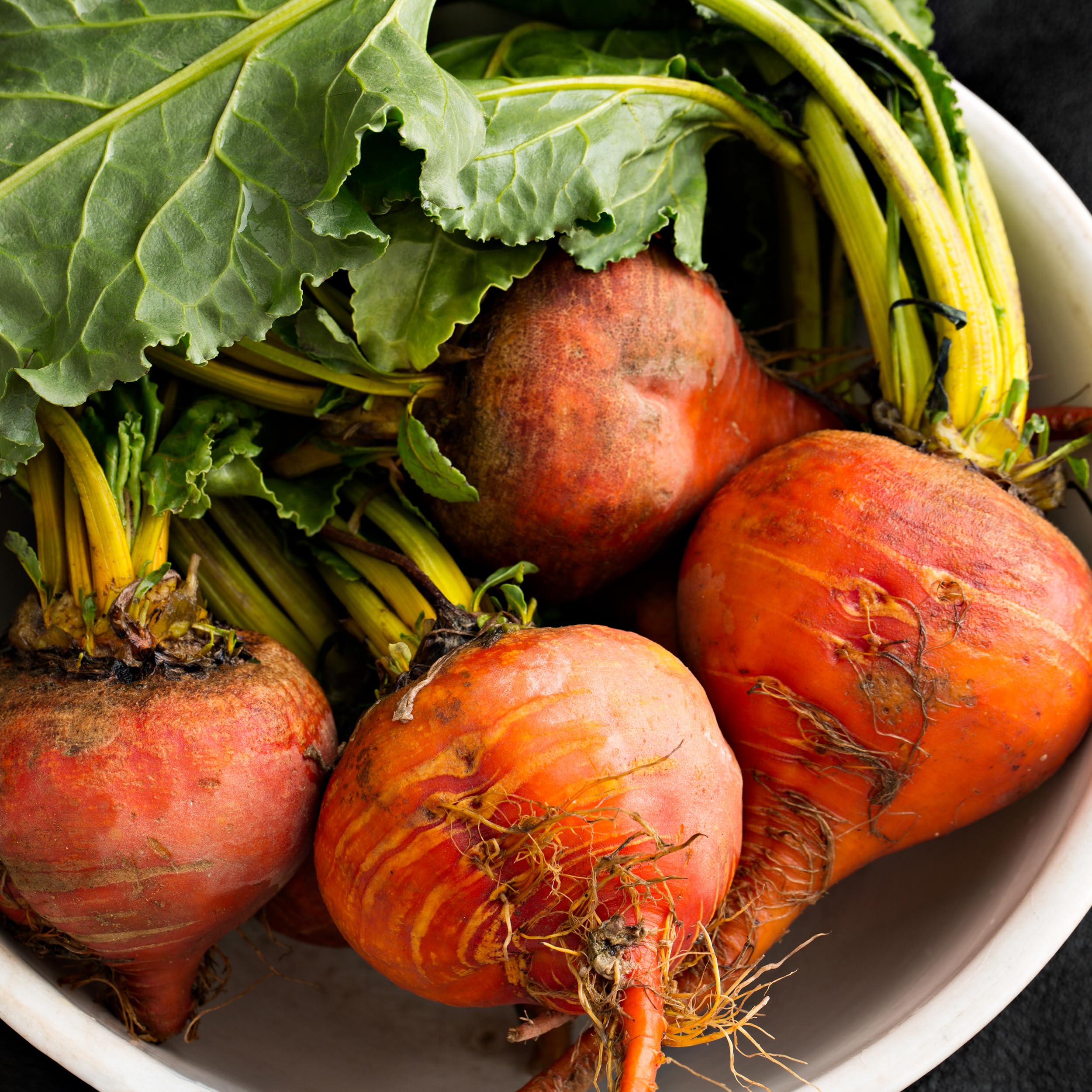 Garden bed thriving with beets from Purely Organic Golden Detroit seeds.