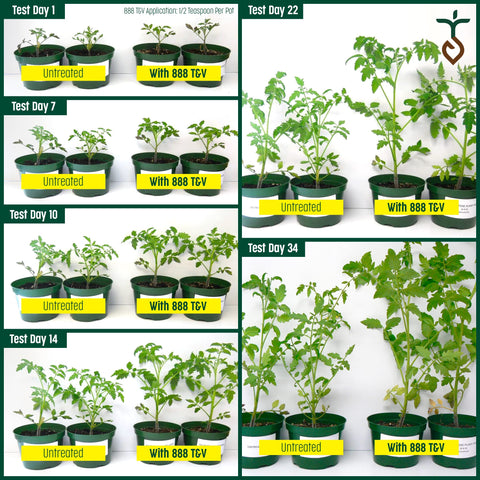 Purely Organic plant food for indoors or outdoors.