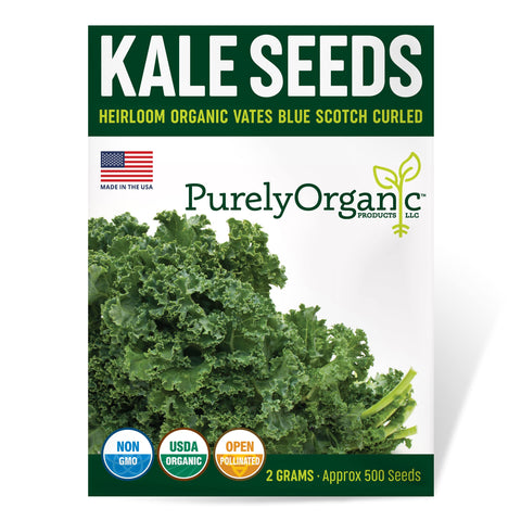 Purely Organic kale seeds Vates Blue Scotch Curled pack for planting.