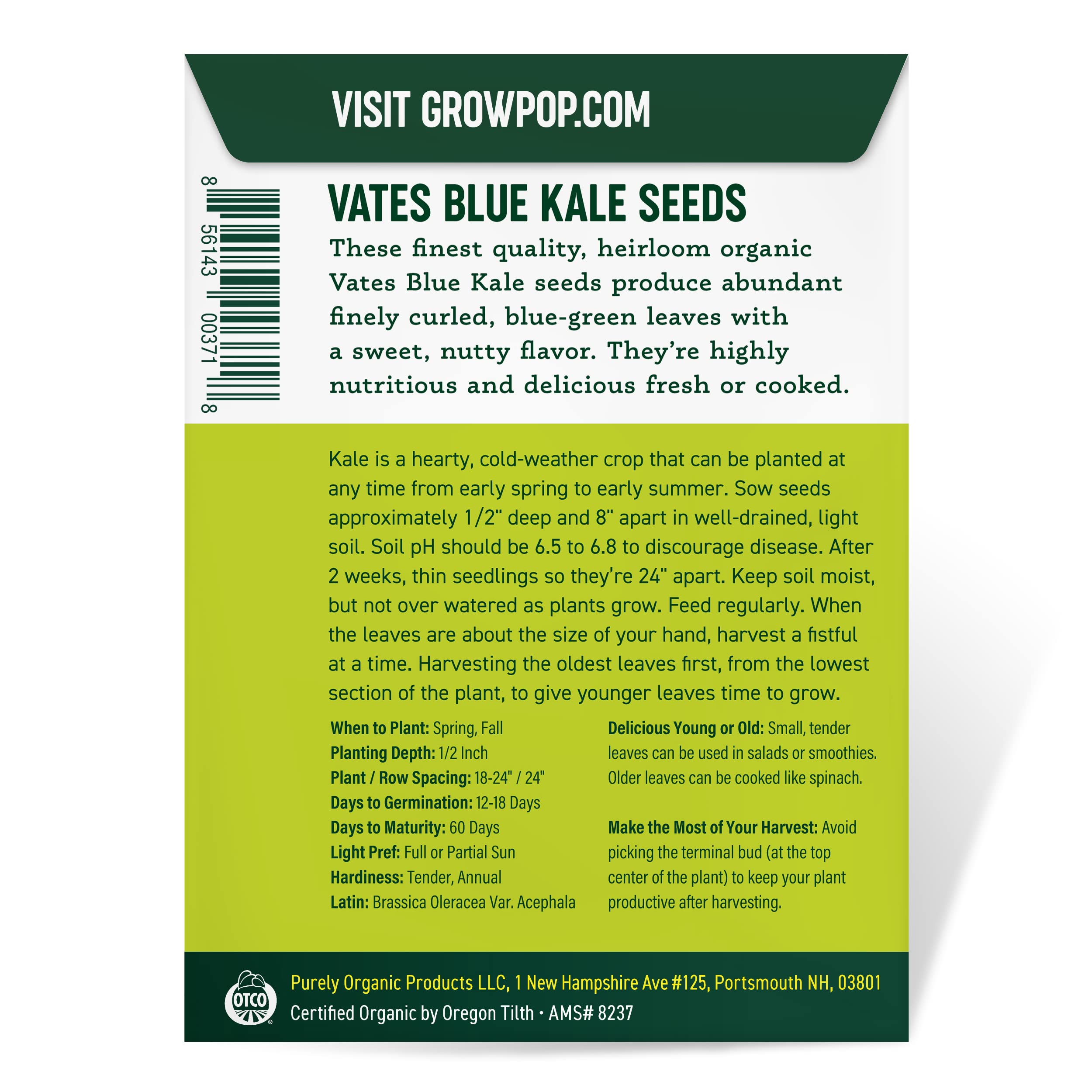 Purely Organic kale seeds planting in garden rows.