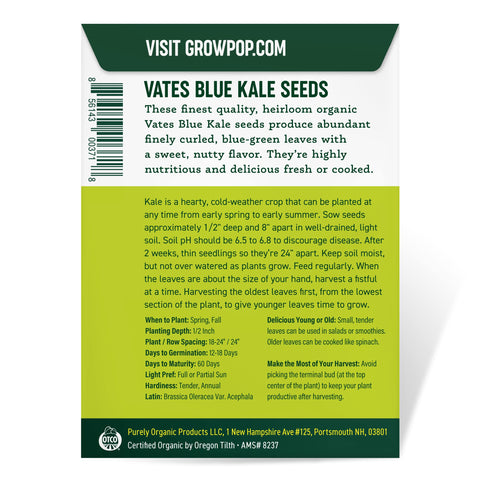 Purely Organic kale seeds planting in garden rows.