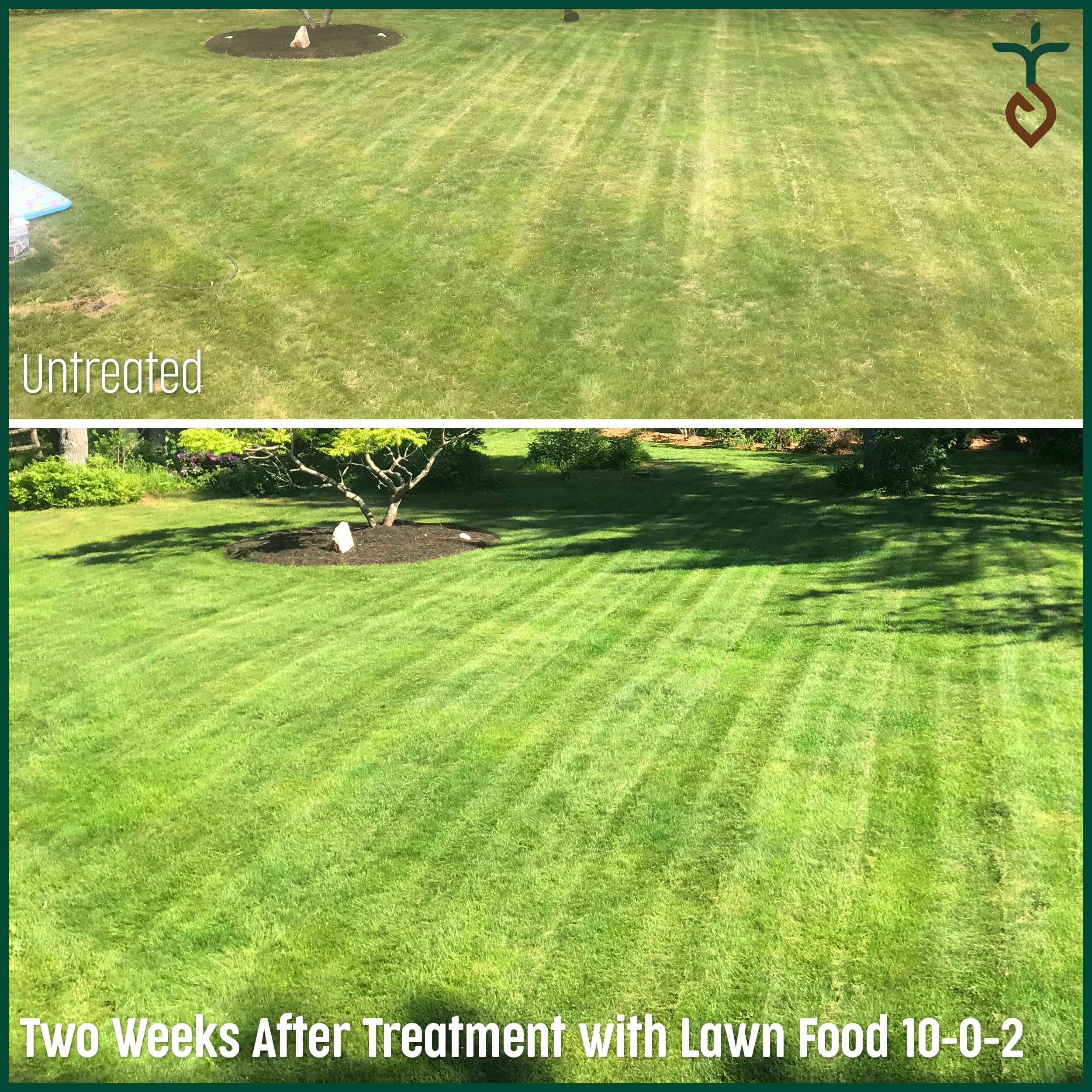Purely Organic Lawn Food applied to soil shows safe use around kids and pets