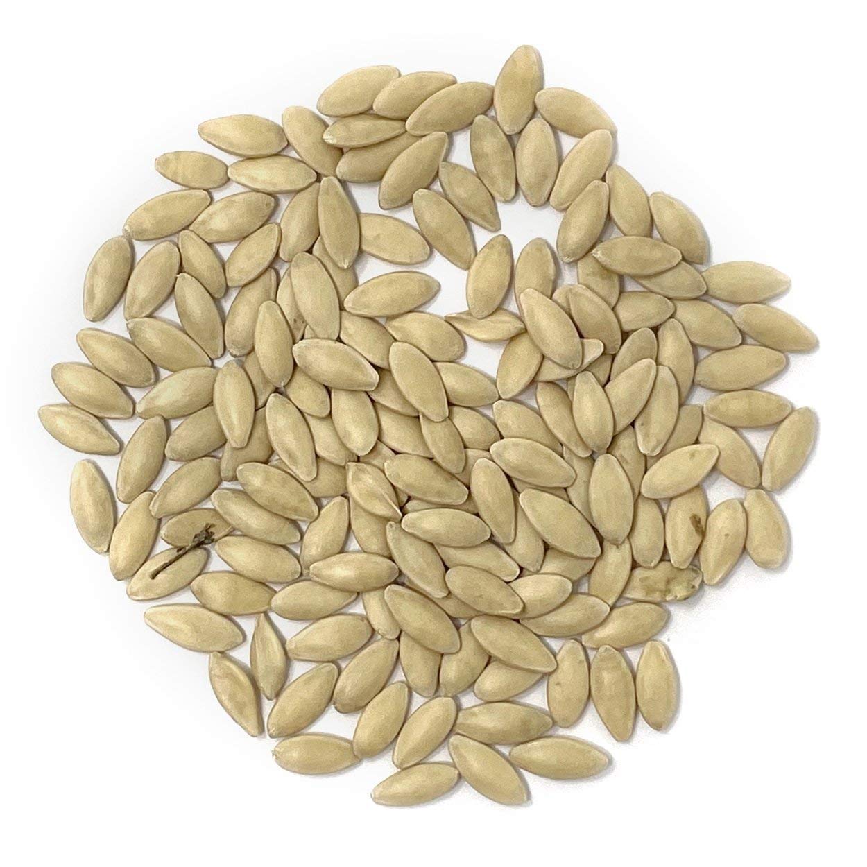 Purely Organic Marketmore 76 seeds closeup showing high germination potential for thriving cucumbers.