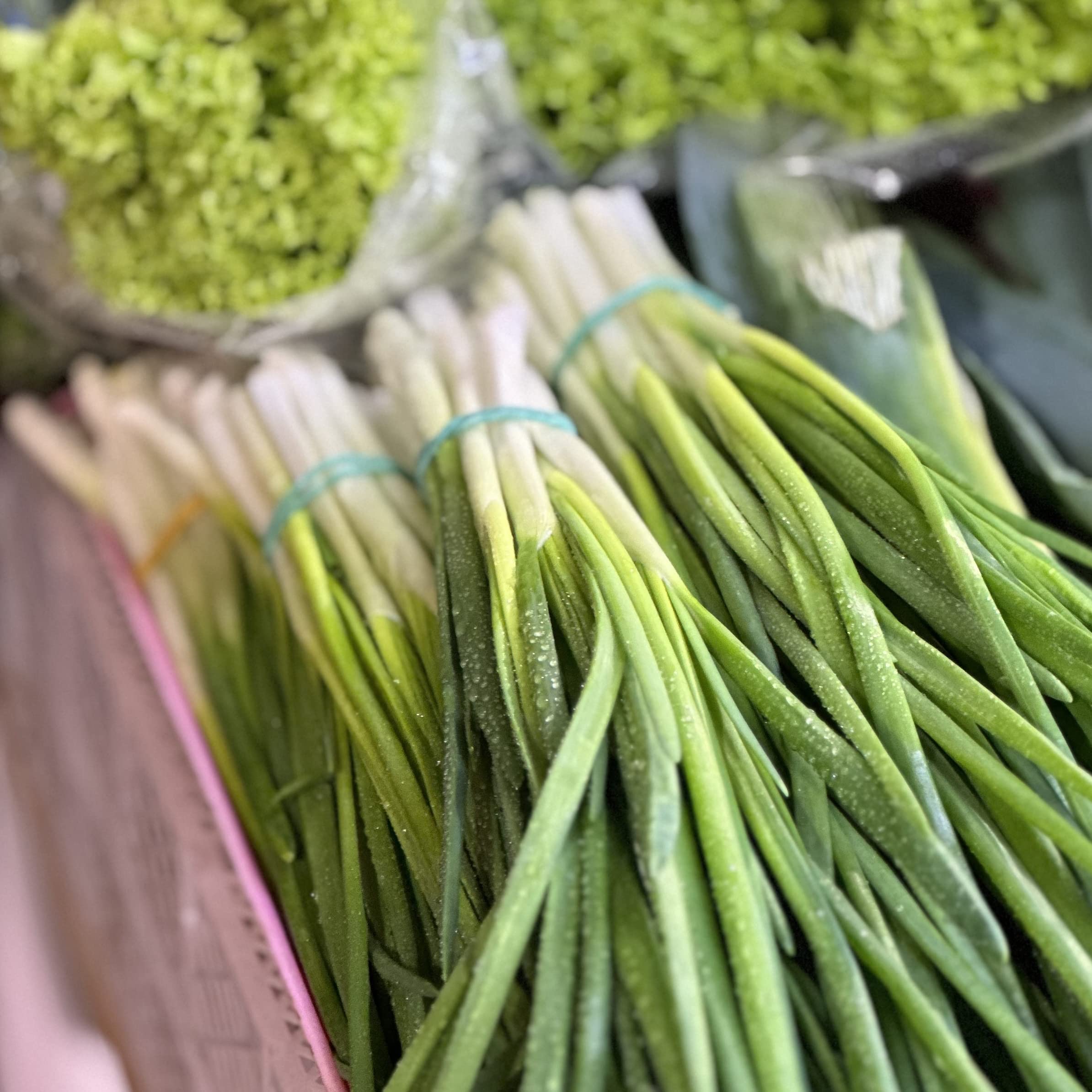 Purely Organic Onion Seeds Bunching Evergreen thinning-seedlings guide for strong, evenly spaced plants.