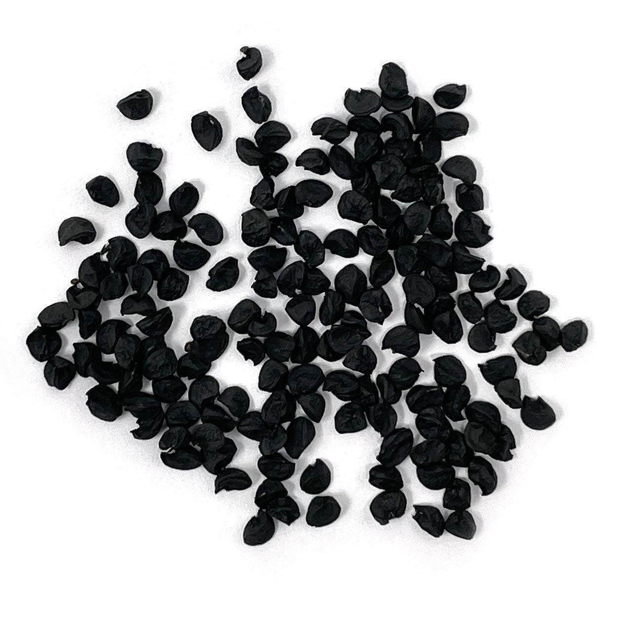 Purely Organic Walla Walla germination close-up highlighting seed vitality.