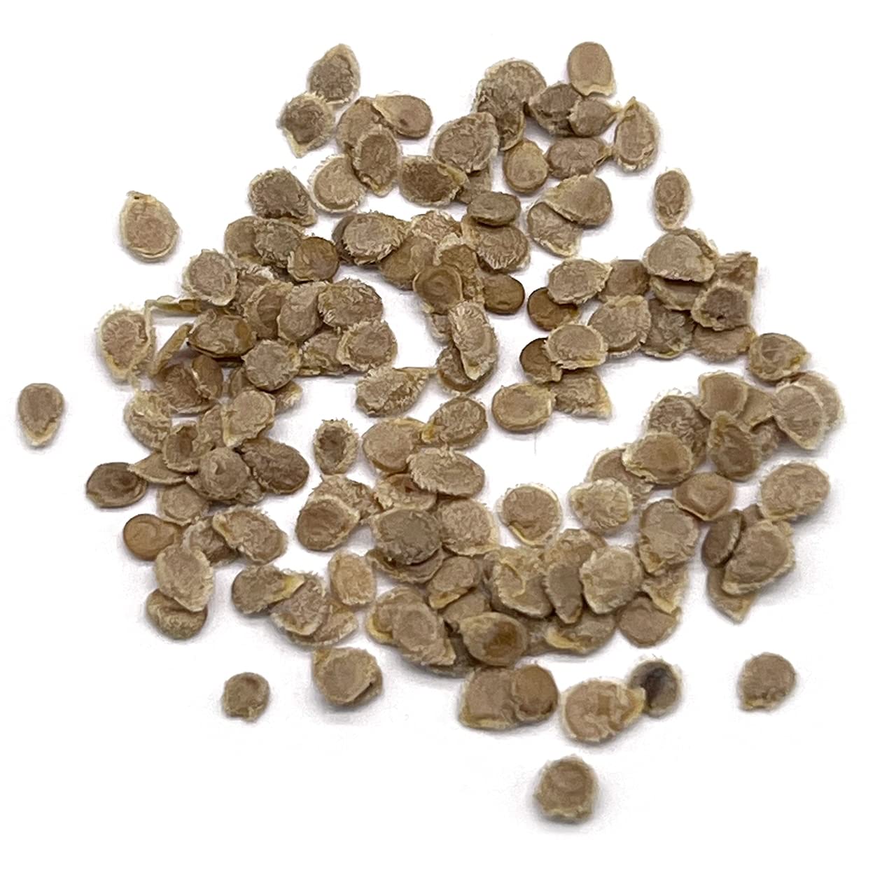 Purely Organic Roma seeds label close-up for planning future crops