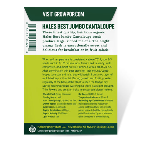 Purely Organic Cantaloupe Seeds mound planting guide for 8- to 10-inch mounds.