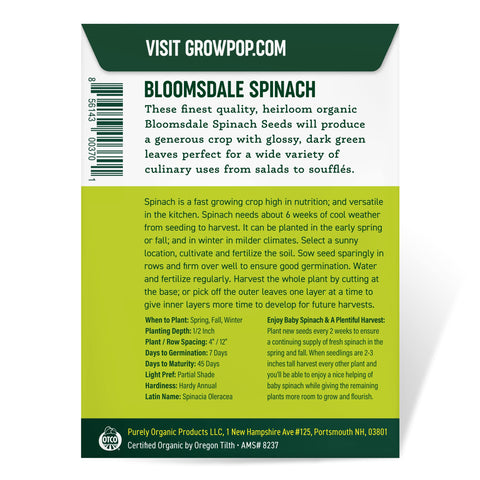 Purely Organic Spinach Seeds Bloomsdale seed close-up, tiny seeds for easy sowing.