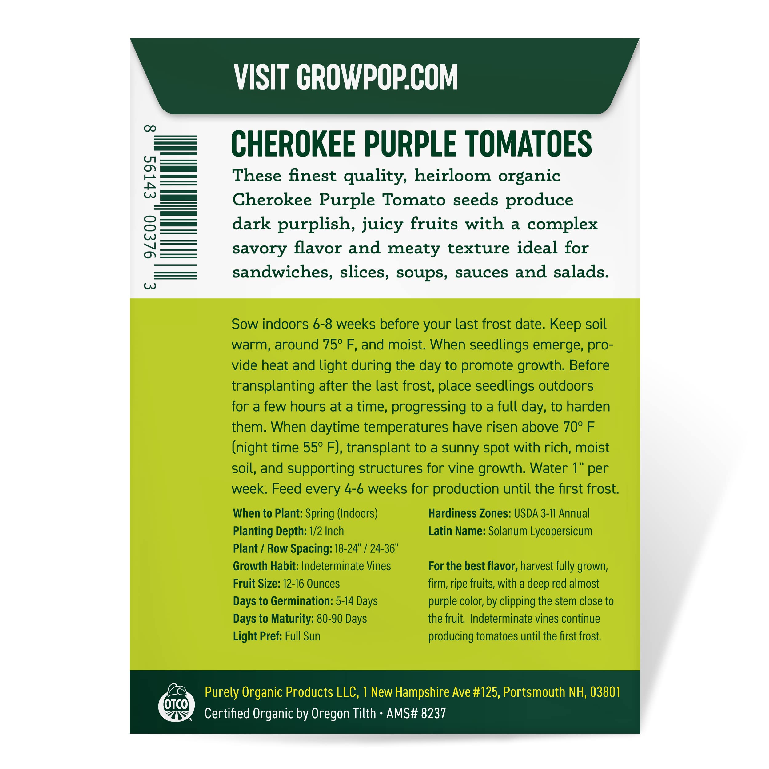 Purely Organic Cherokee Purple outdoor transplant demonstrates hardening in sunny bed.
