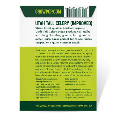 Purely Organic Utah Tall Celery Seeds growing well in containers for small spaces.