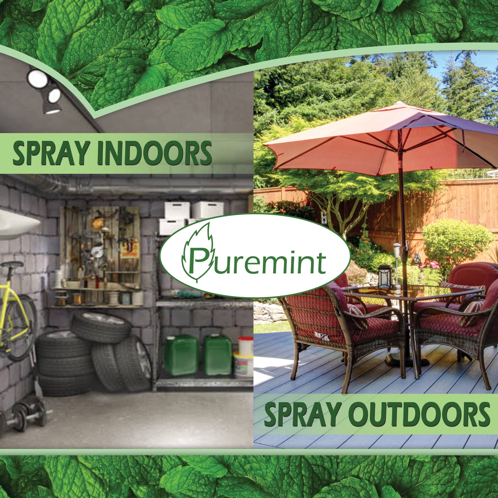 Indoor living room application showcasing versatile home use of Puremint.