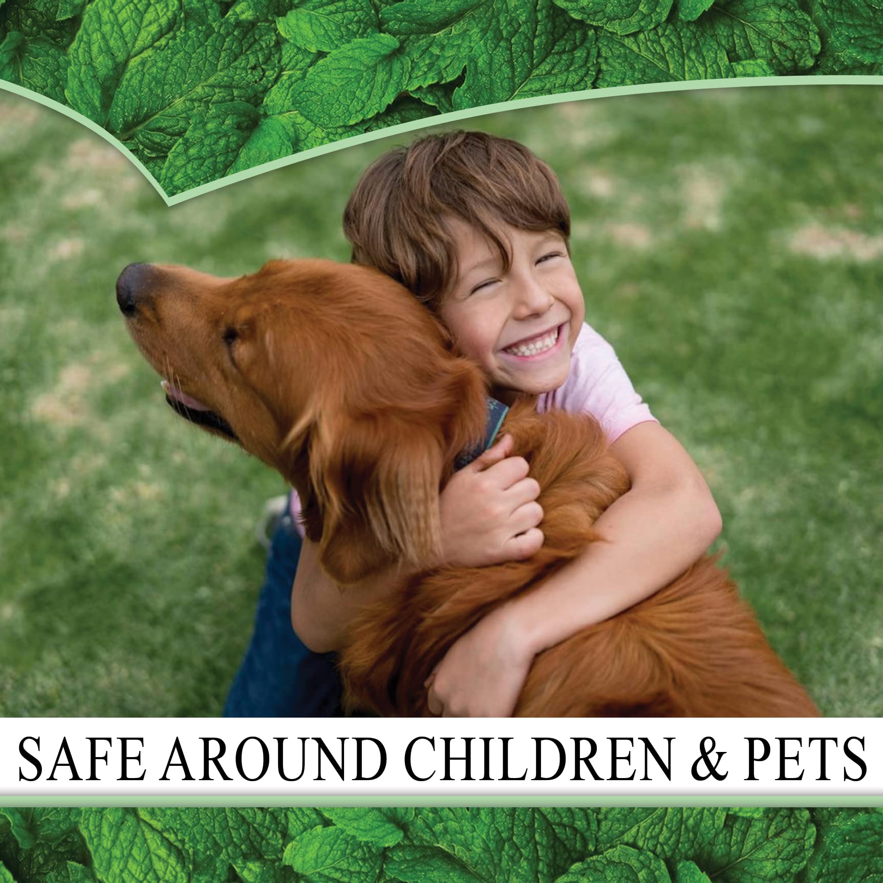 Plant and garden foliage treatment with Puremint insect control.