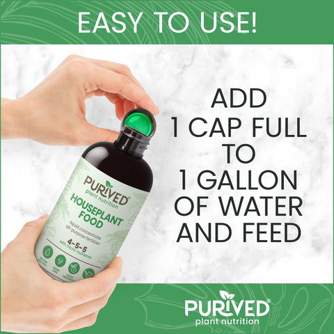 Indoor plants fed with Purived all-purpose fertilizer