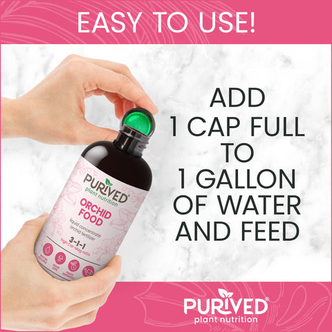 Purived Orchid Food mixing in water with rapid dissolution.