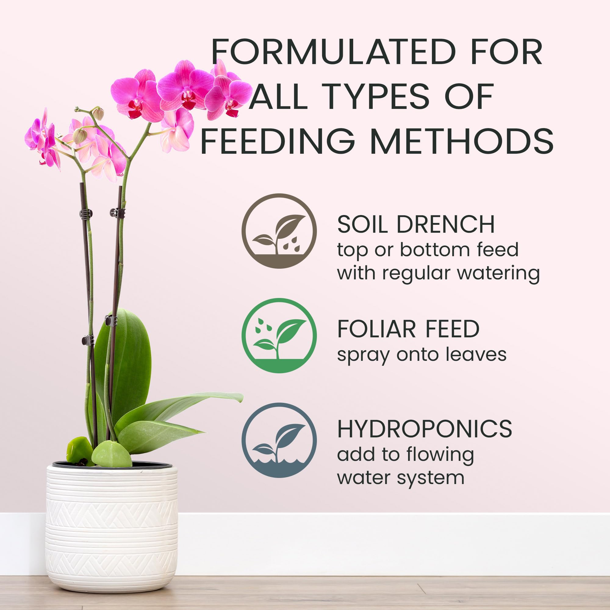 Purived Orchid Food soil drench applied at the root zone.