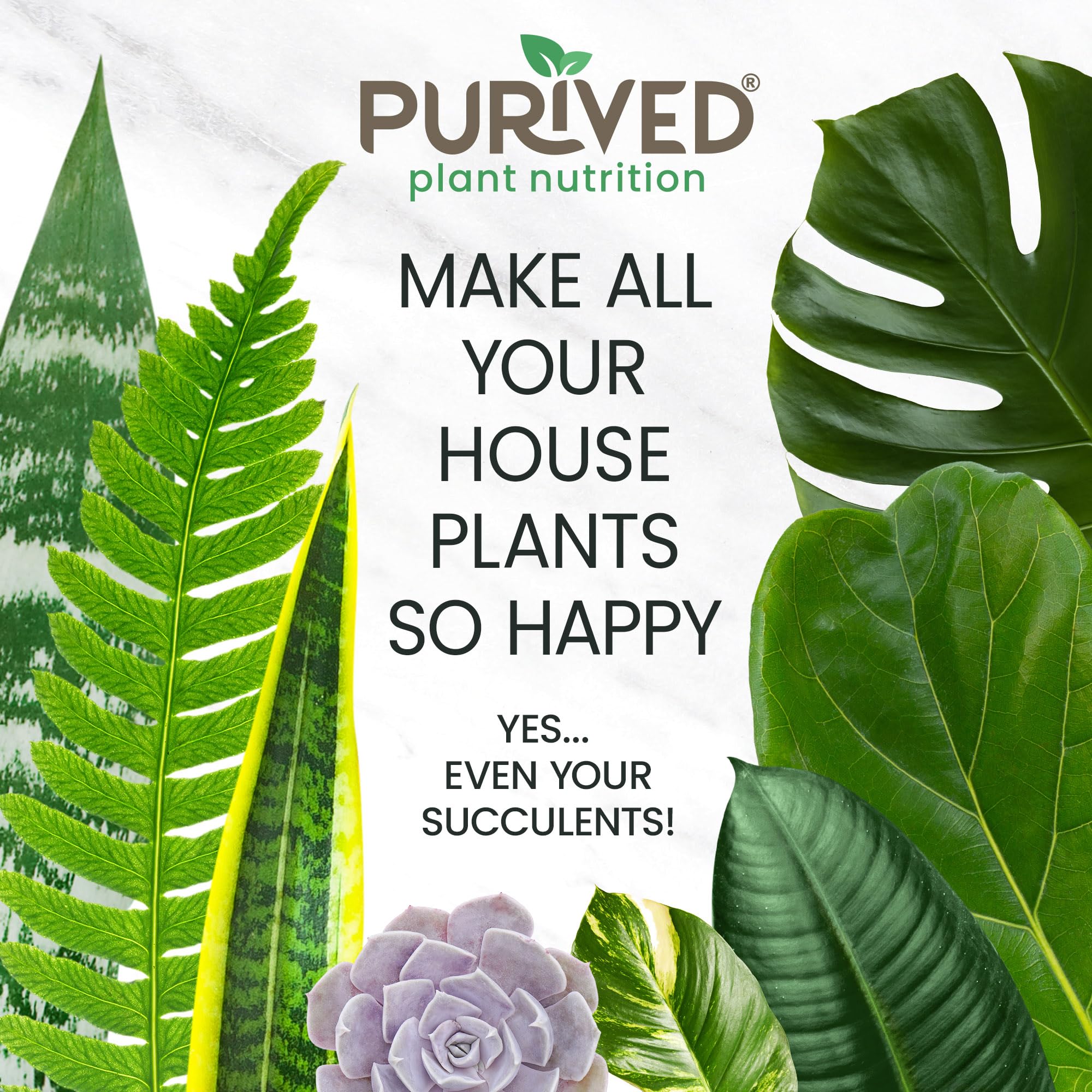 Soil drench application near roots with Purived