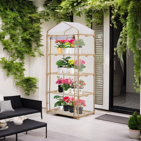 Purlyu Garden 4-Tier Greenhouse dimensions show compact footprint