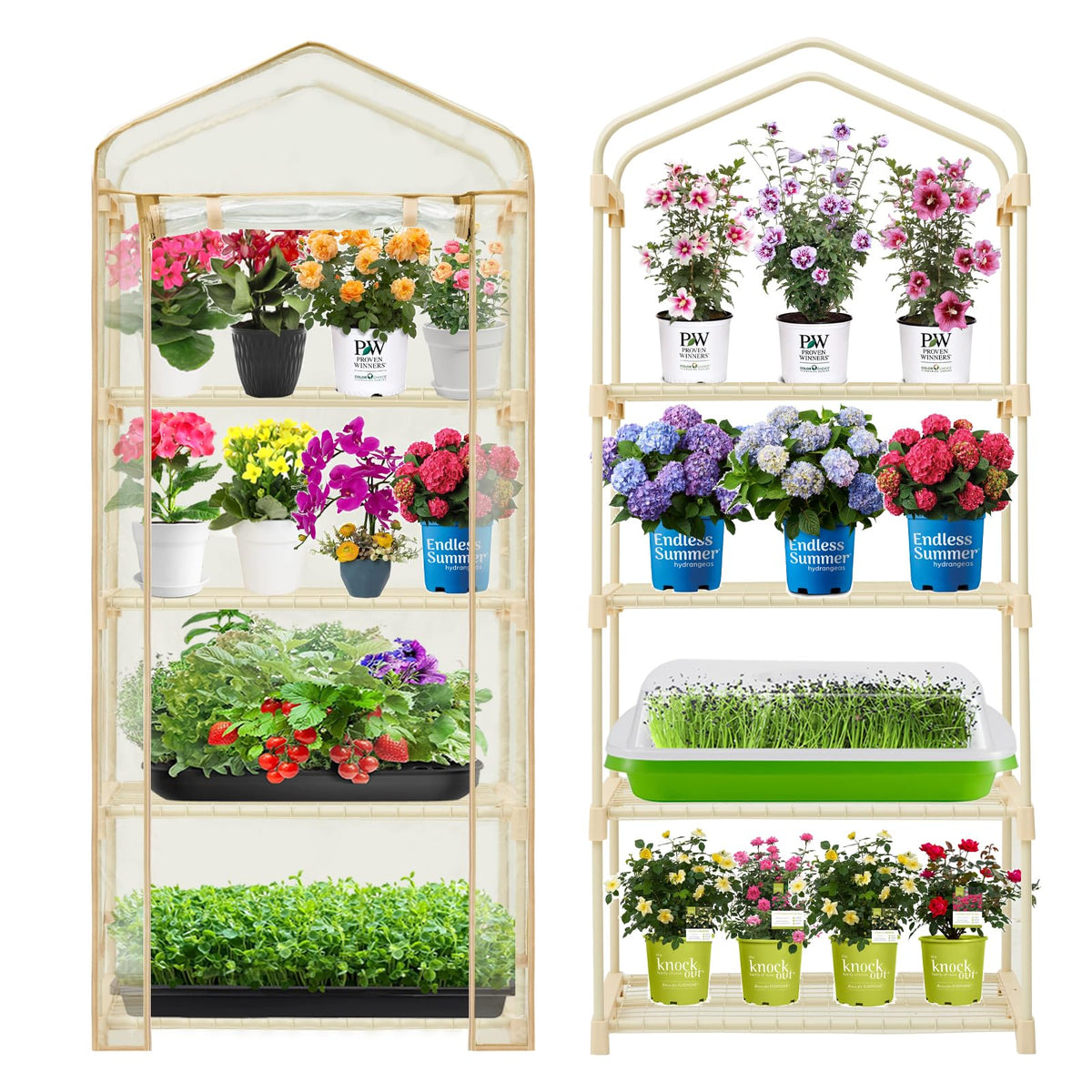 Purlyu Garden 4-Tier Greenhouse front view with shelves ready for seedlings