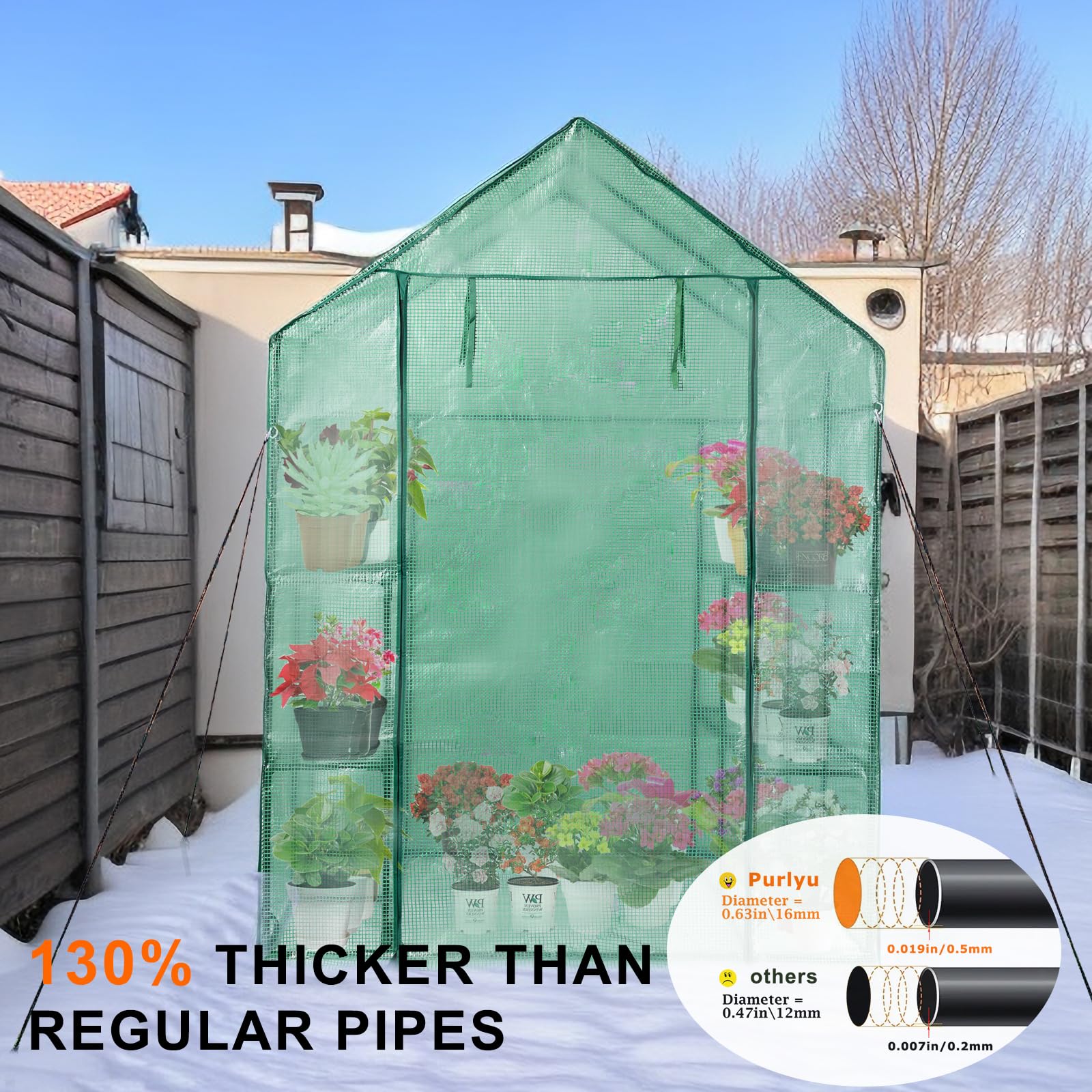 Purlyu Walk-in Greenhouse dimensions 56.3 by 55.5 by 76.8 inches.