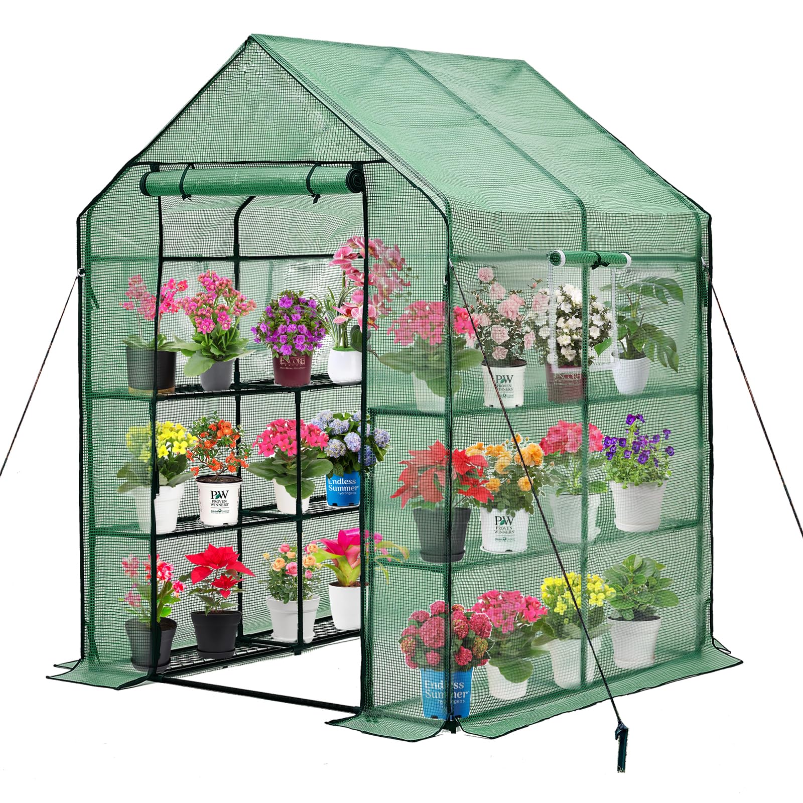 Purlyu Walk-in Greenhouse front view, sturdy frame protecting plants outdoors.