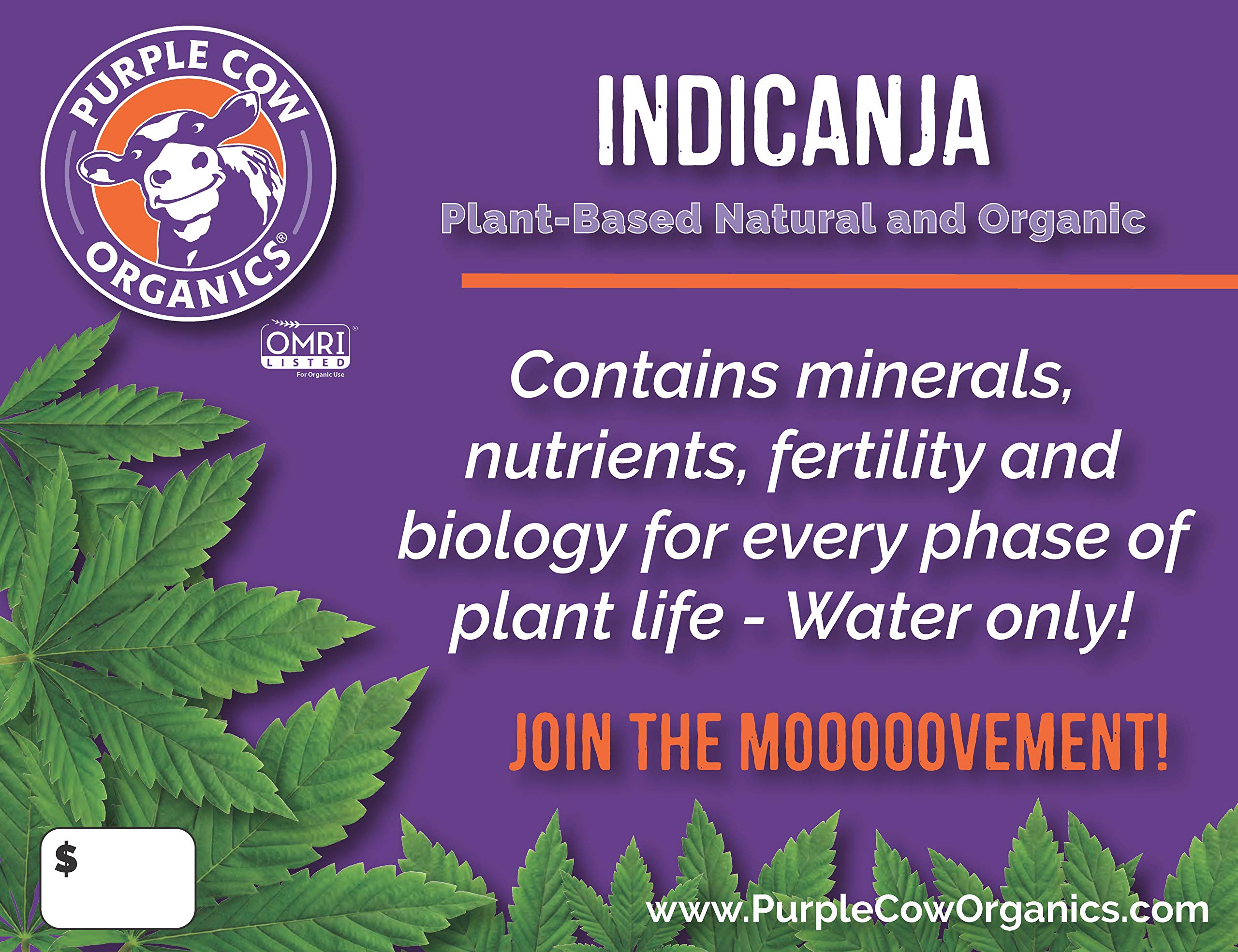 Purple Cow IndiCanja soil texture close-up showing rich compost-based mix for healthy root growth.