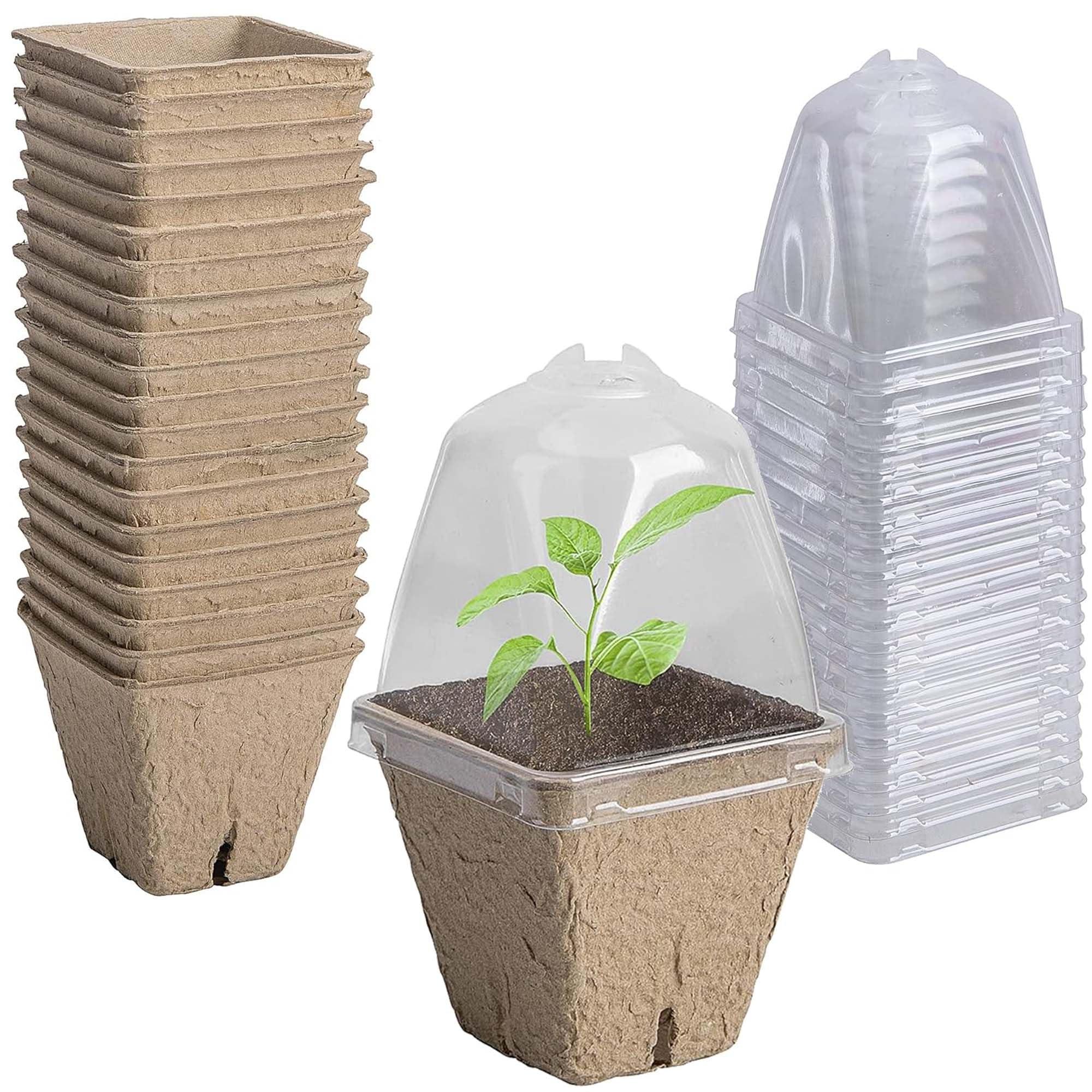 Purple Star 1N biodegradable nursery pots with humidity dome ready for seed germination and easy observation.