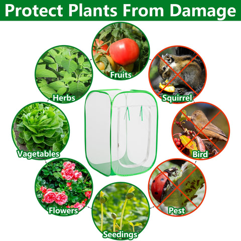 Purple Star 1N 24x24x36 cover protecting potted plants, vegetables, and herbs outdoors.