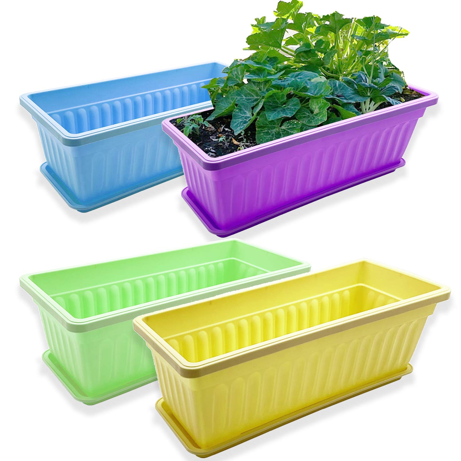 Purple Star 1N 4-pack planter with tray enhances balcony decor and contains soil.