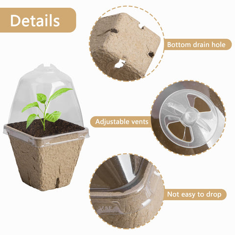 Purple Star 1N biodegradable seed starter pots are eco-friendly and plantable.
