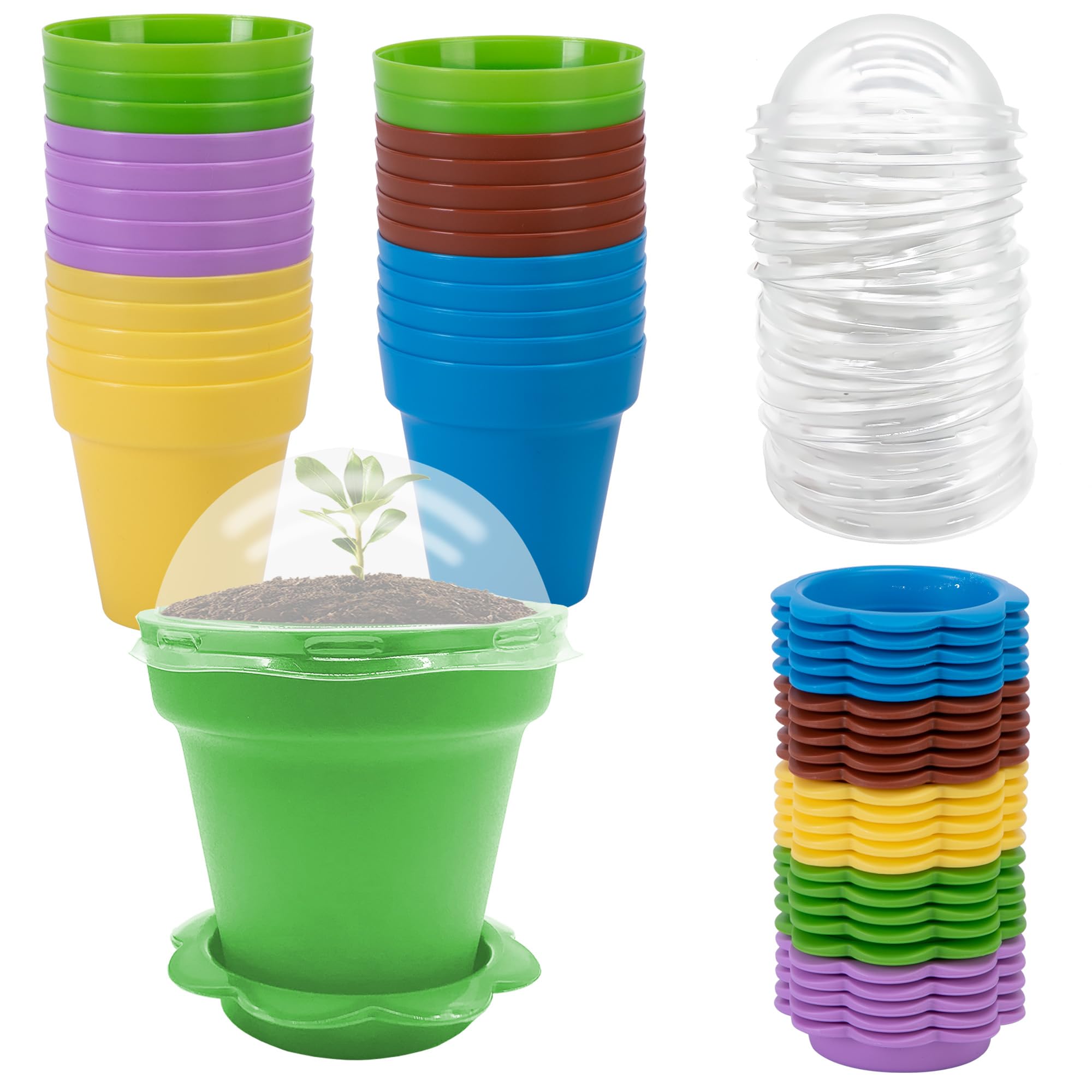 PURPLE STAR 1N cupcake pot in vibrant colors ideal for seedling starters