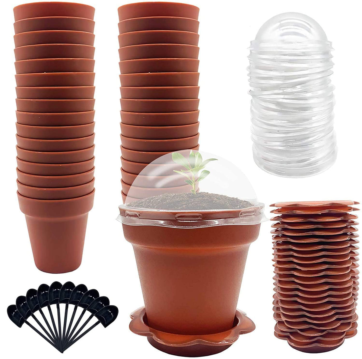 PURPLE STAR 1N cupcake pot with humidity dome improves seed germination